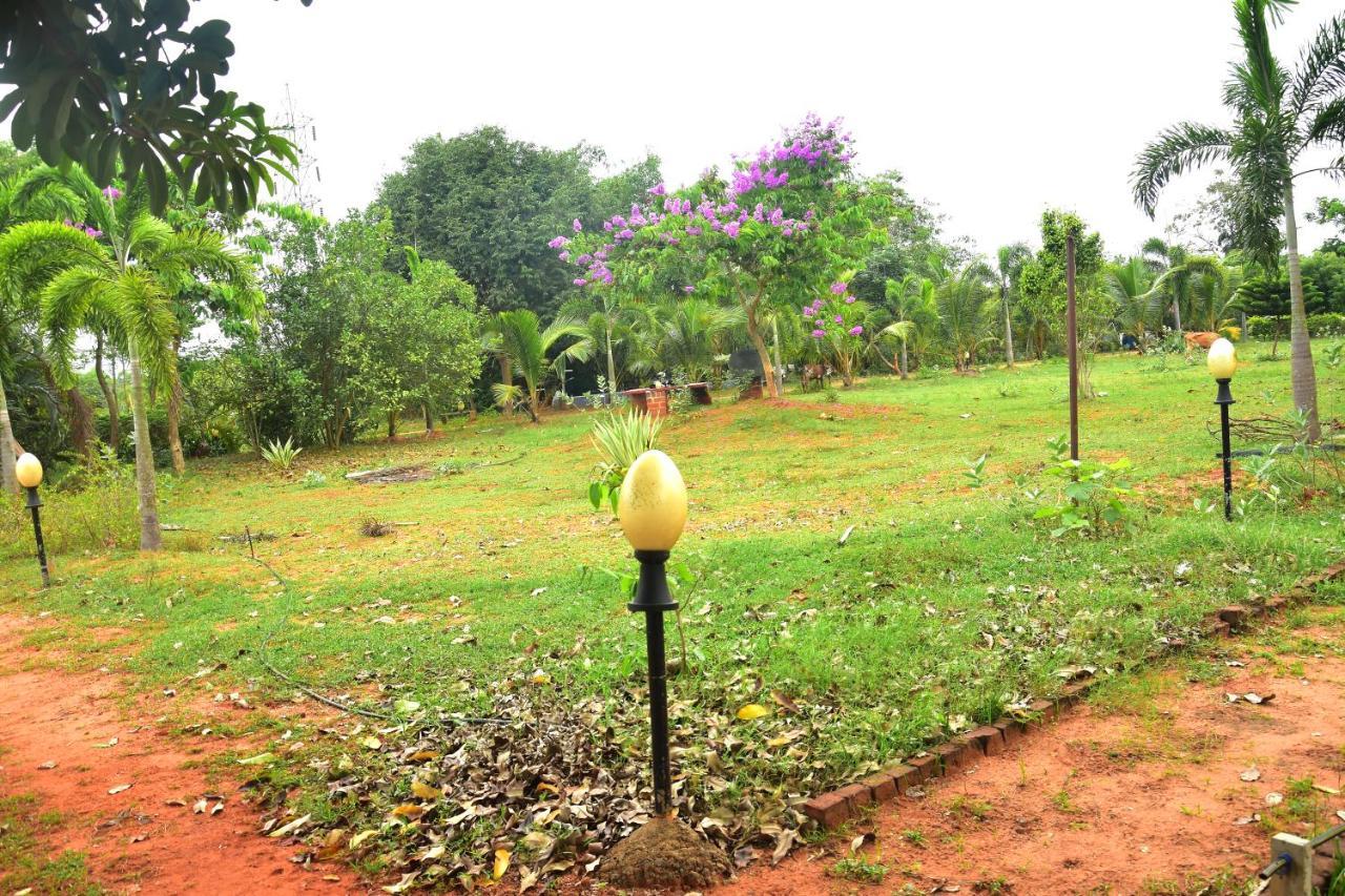 Paradise Quest Nature Farmhouse Villa Kalapettai Exterior photo